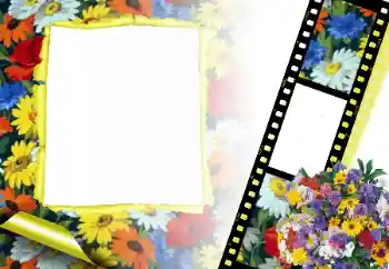 Foto-effetti della categoria Cornici da donna № 166315