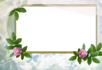 Foto-effetti della categoria Cornici da donna № 166503