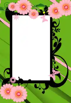 Foto-effetti della categoria Cornici da donna № 166542