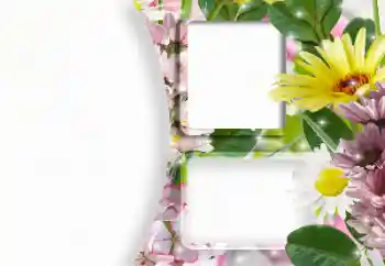 Foto-effetti della categoria Cornici da donna № 166607