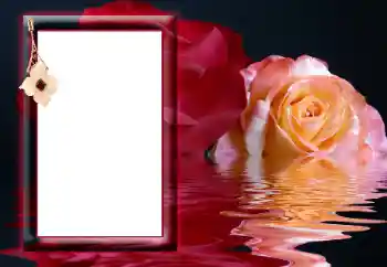 Foto-effetti della categoria Cornici da donna № 166641