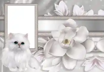 Foto-effetti della categoria Cornici da donna № 167744