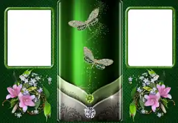 Foto-effetti della categoria Cornici da donna № 167795