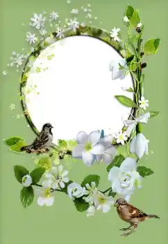 Foto-effetti della categoria Cornici da donna № 167829