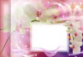 Foto-effetti della categoria Cornici da donna № 167835