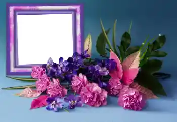 Foto-effetti della categoria Cornici da donna № 167856