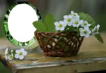 Foto-effetti della categoria Cornici da donna № 167999