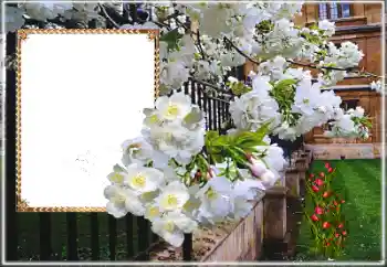 Foto-effetti della categoria Cornici da donna № 169025