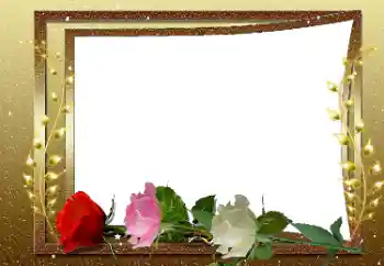 Foto-effetti della categoria Cornici da donna № 169033