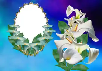 Foto-effetti della categoria Cornici da donna № 169156