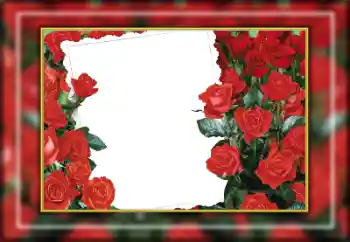 Foto-effetti della categoria Cornici da donna № 169274