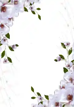 Foto-effetti della categoria Cornici da donna № 16997