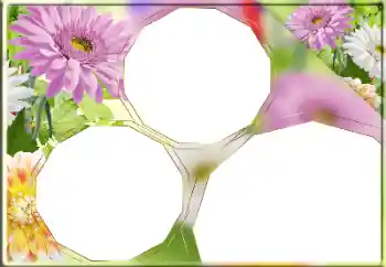 Foto-effetti della categoria Cornici da donna № 170418