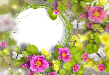 Foto-effetti della categoria Cornici da donna № 170446