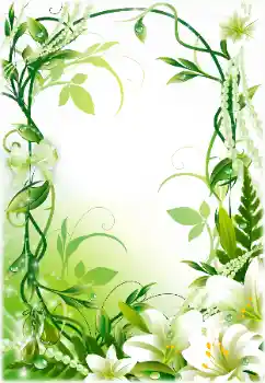 Foto-effetti della categoria Cornici da donna № 170461