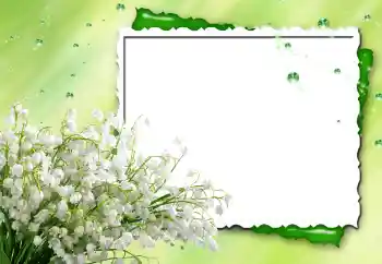 Foto-effetti della categoria Cornici da donna № 170480