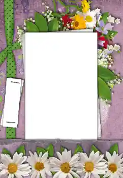 Foto-effetti della categoria Cornici da donna № 170521