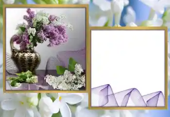 Foto-effetti della categoria Cornici da donna № 170570