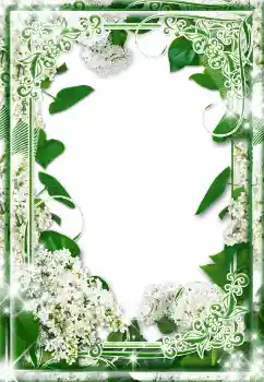 Foto-effetti della categoria Cornici da donna № 17130