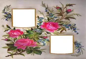 Foto-effetti della categoria Cornici da donna № 171684