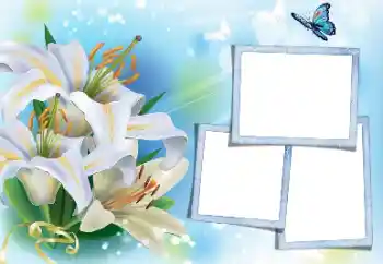 Foto-effetti della categoria Cornici da donna № 171813