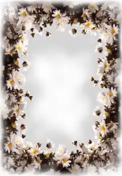 Foto-effetti della categoria Cornici da donna № 172819