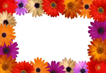 Foto-effetti della categoria Cornici da donna № 172916