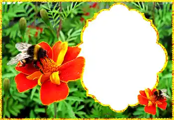 Foto-effetti della categoria Cornici da donna № 172931