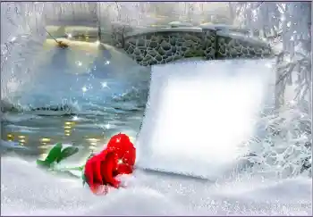 Foto-effetti della categoria Cornici da donna № 172963