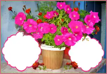 Foto-effetti della categoria Cornici da donna № 172978