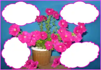 Foto-effetti della categoria Cornici da donna № 172980