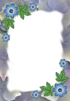 Foto-effetti della categoria Cornici da donna № 172985