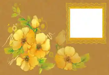 Foto-effetti della categoria Cornici da donna № 172996