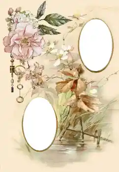 Foto-effetti della categoria Cornici da donna № 174098