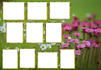 Foto-effetti della categoria Cornici da donna № 174173