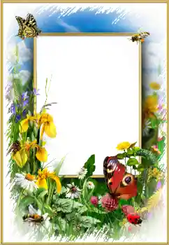 Foto-effetti della categoria Cornici da donna № 175352