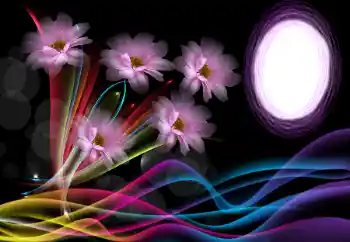 Foto-effetti della categoria Cornici da donna № 175500