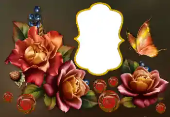 Foto-effetti della categoria Cornici da donna № 175501