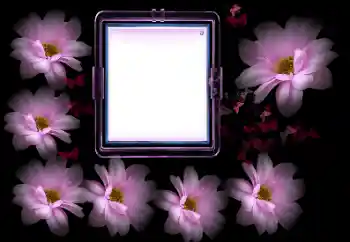 Foto-effetti della categoria Cornici da donna № 175502