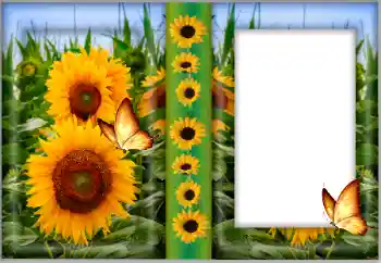 Foto-effetti della categoria Cornici da donna № 175542