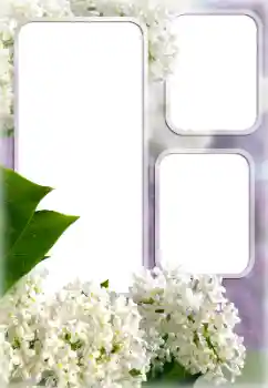 Foto-effetti della categoria Cornici da donna № 176613