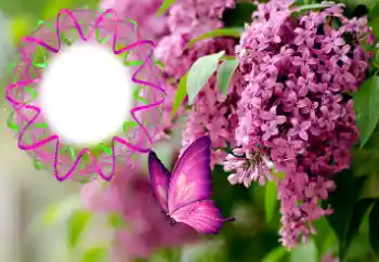 Foto-effetti della categoria Cornici da donna № 176770