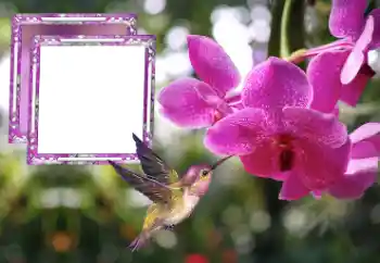 Foto-effetti della categoria Cornici da donna № 176778