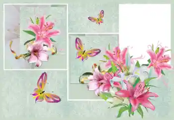 Foto-effetti della categoria Cornici da donna № 176820