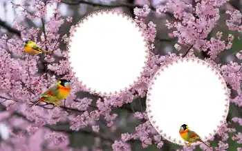 Foto-effetti della categoria Cornici da donna № 177884