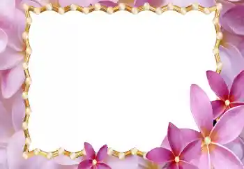 Foto-effetti della categoria Cornici da donna № 177920