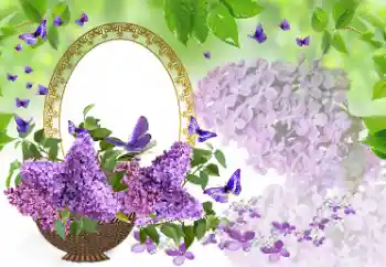 Foto-effetti della categoria Cornici da donna № 177975