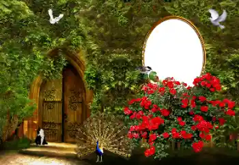 Foto-effetti della categoria Cornici da donna № 178046