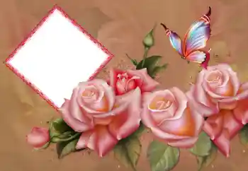 Foto-effetti della categoria Cornici da donna № 178101