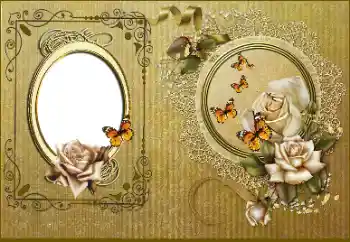 Foto-effetti della categoria Cornici da donna № 178245